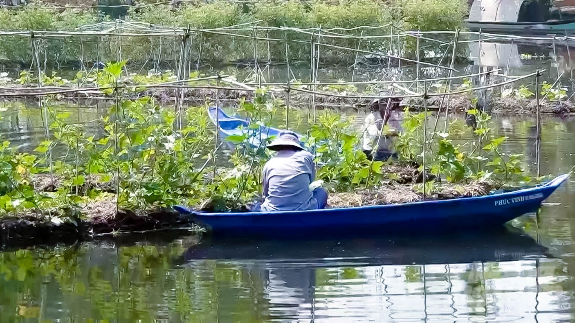 The farm is creating stable jobs for about 10–12 workers with a good income. Photo: Le Binh.