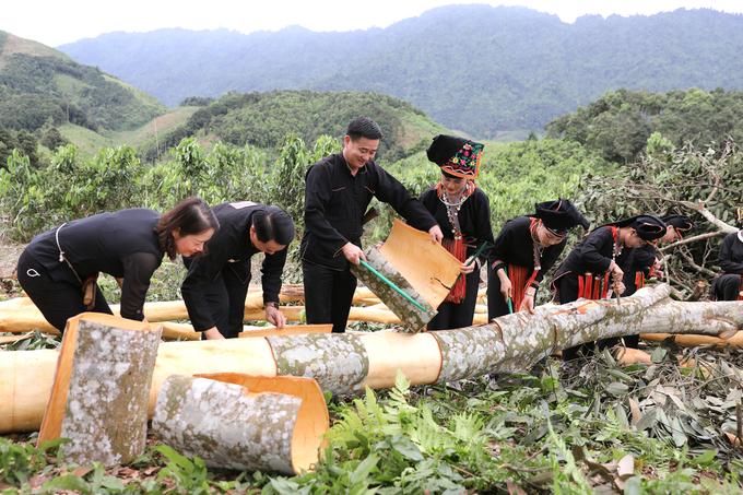 Eight cinnamon products have been recognized as OCOP 3-star products and organic cinnamon products are being continuously developed in order to achieve 4-star OCOP certification. Photo: Thanh Mien.