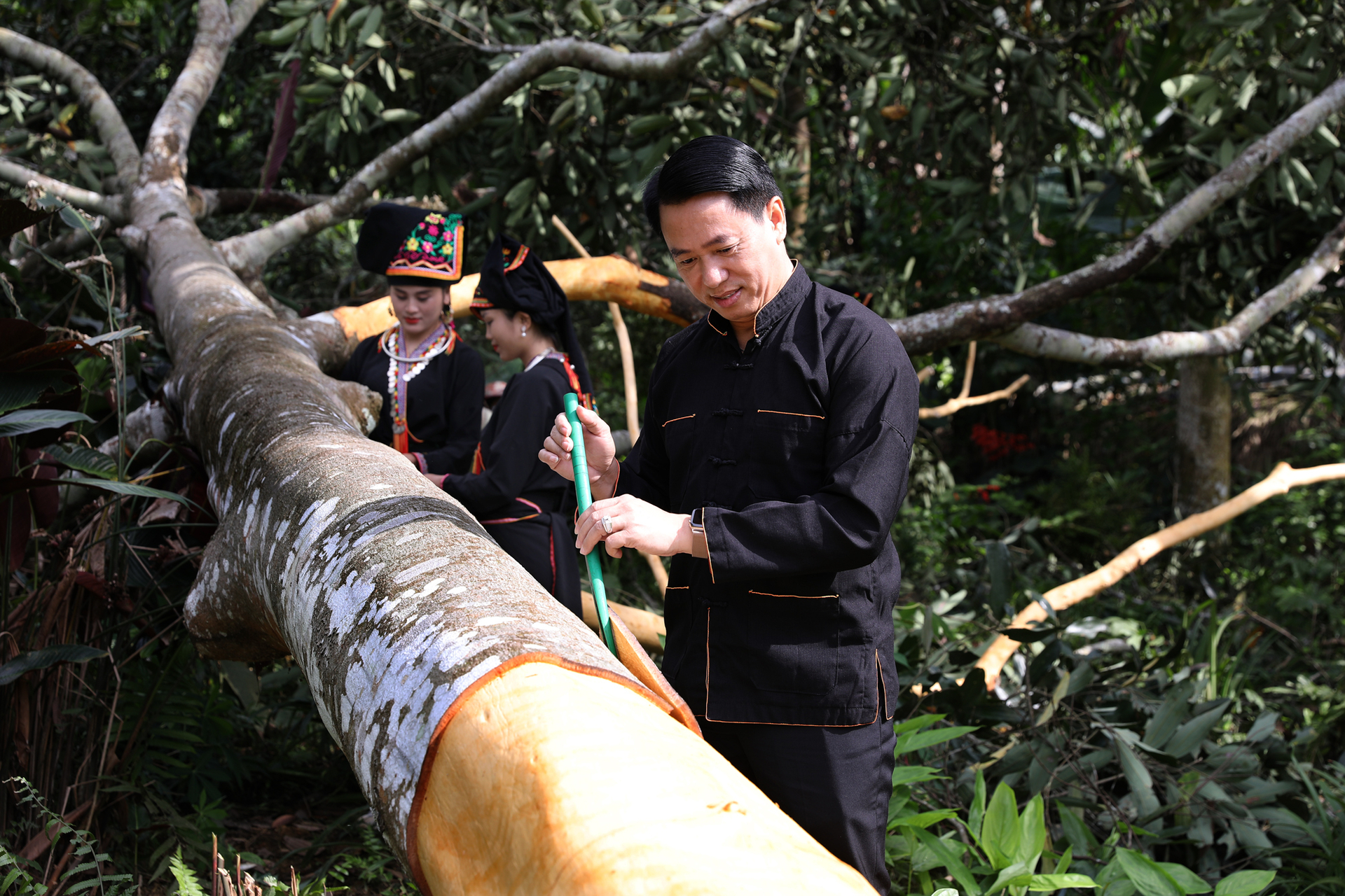 Mr. Luyen Huu Chung, the Secretary of the Van Yen District Party Committee, participated in harvesting cinnamon with the people. Photo: Thanh Mien.