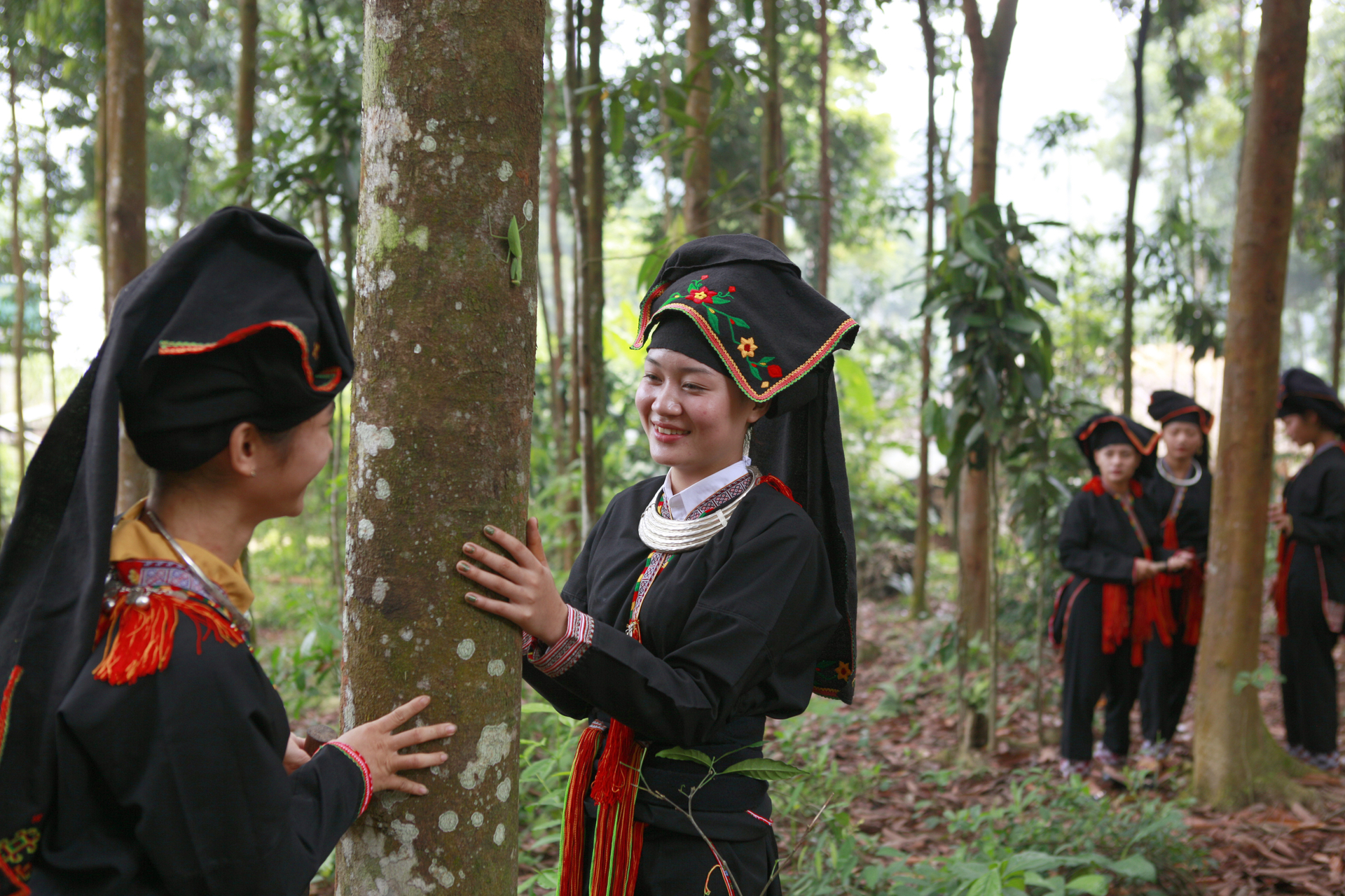 The district's cinnamon products not only meet the needs of consumers in the province and in the country, but also export to 18 countries and territories such as Taiwan, China, Korea, Japan, India... Photo: Thanh Mien.