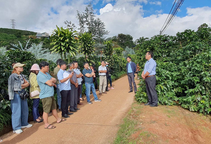 Representatives from various agencies and organizations surveyed the coffee production area in Lam Dong.