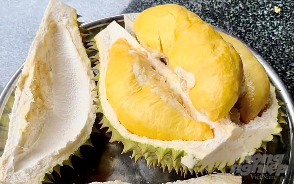 Durian is about to enter the main season, promising to help people increase their income significantly.