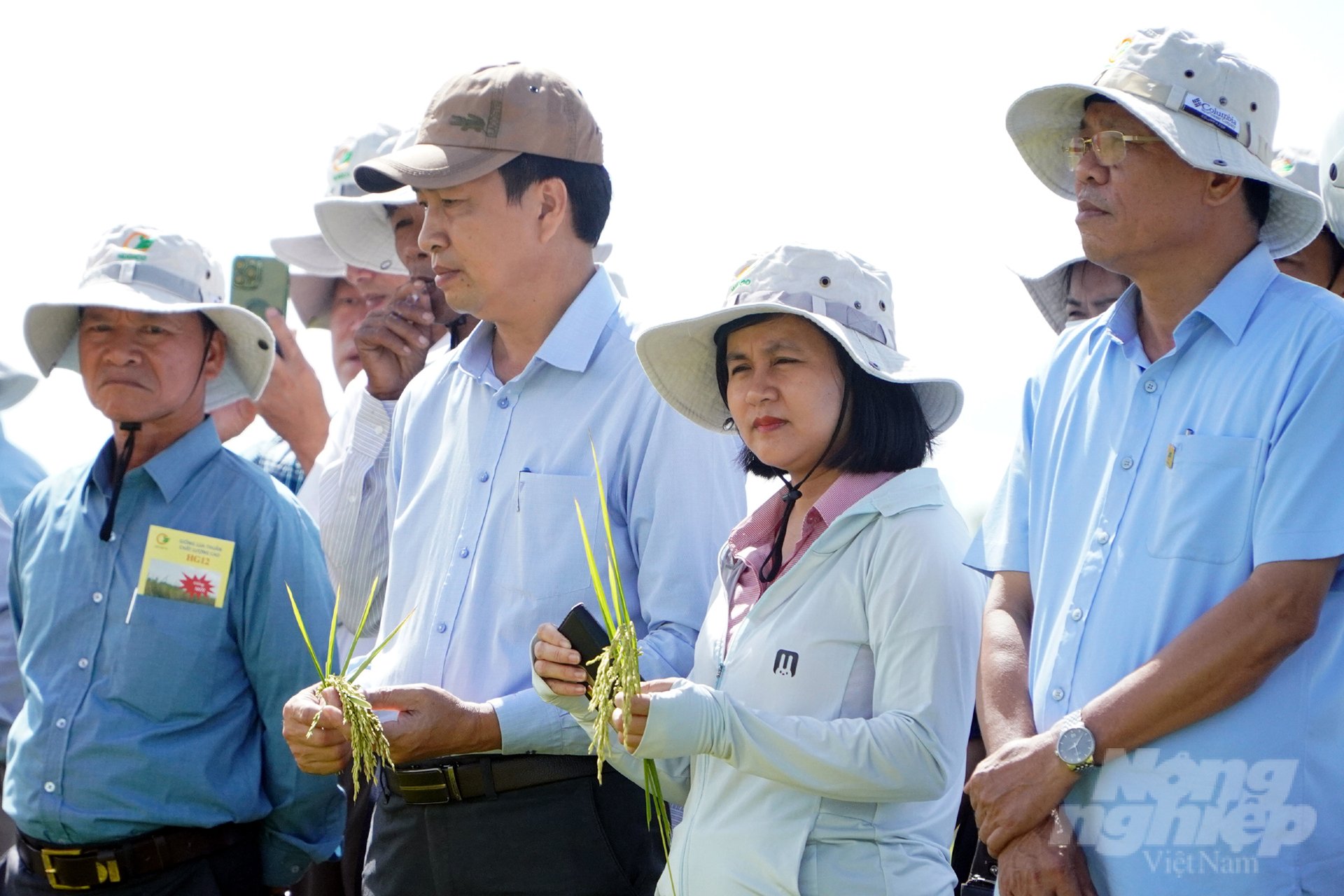 Bà Nguyễn Hồng Phương, Phó Giám đốc Sở NN-PTNT Quảng Trị (thứ 2 từ phải sang) đánh giá cao những ưu điểm của giống lúa HG12. Ảnh: Võ Dũng.