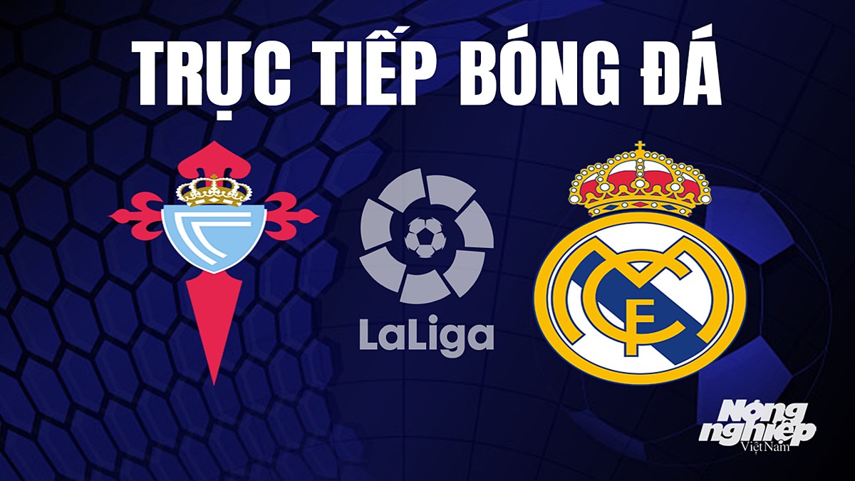Trực tiếp bóng đá La Liga 2023/24 giữa Celta Vigo vs Real Madrid hôm nay 26/8/2023