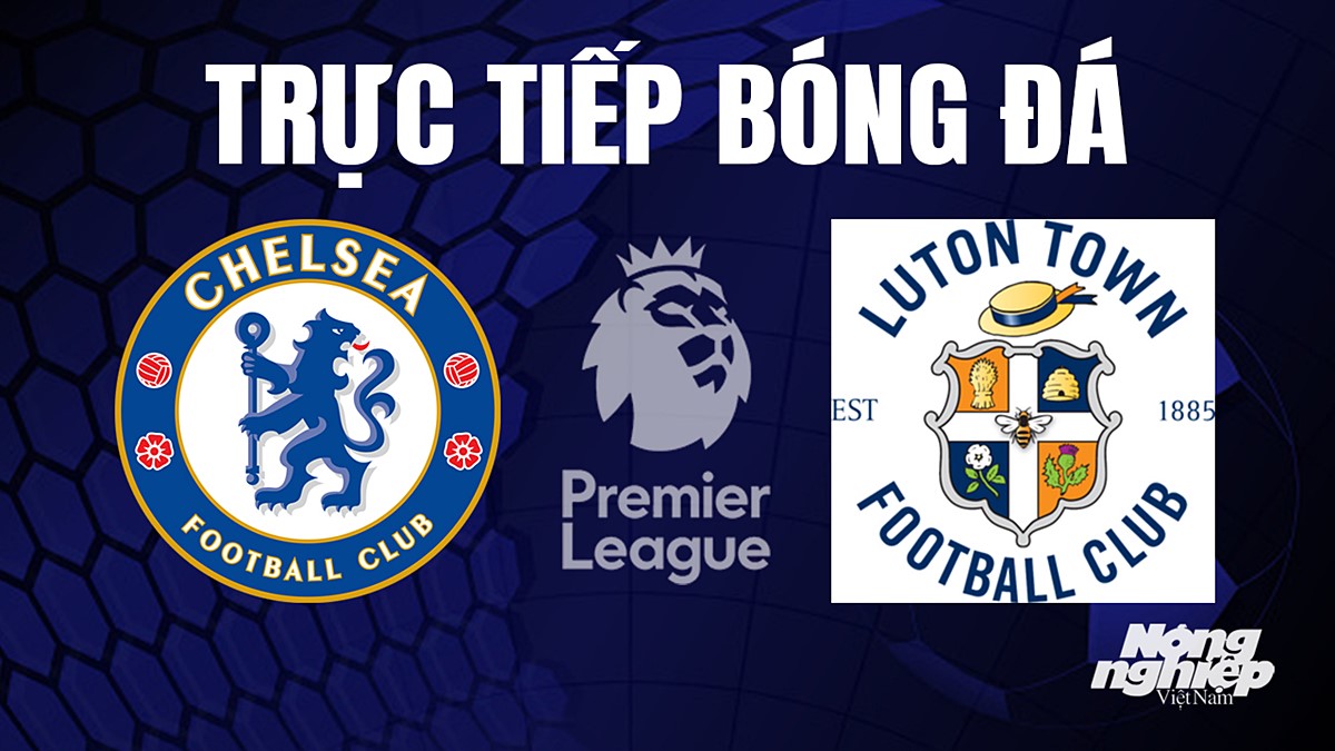 Trực tiếp bóng đá Ngoại hạng Anh giữa Chelsea vs Luton Town hôm nay 26/8/2023