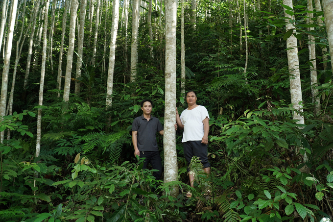Anh Nông Văn Hoàn (phải) tại rừng mỡ của gia đình. Ảnh: Quang Linh.