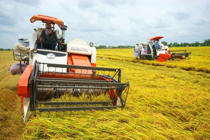 Nhiều doanh nghiệp đã quan tâm hơn đến việc ứng dụng các giải pháp, các tiến bộ khoa học kỹ thuật vào sản xuất lúa gạo bền vững. Ảnh: Ngọc Trinh.