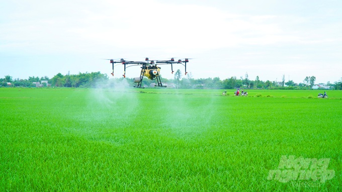 Loc Troi provides a specialized drone service to handle crops in rice raw material areas, reducing costs and increasing the efficiency of pesticide usage. Photo: Le Hoang Vu.