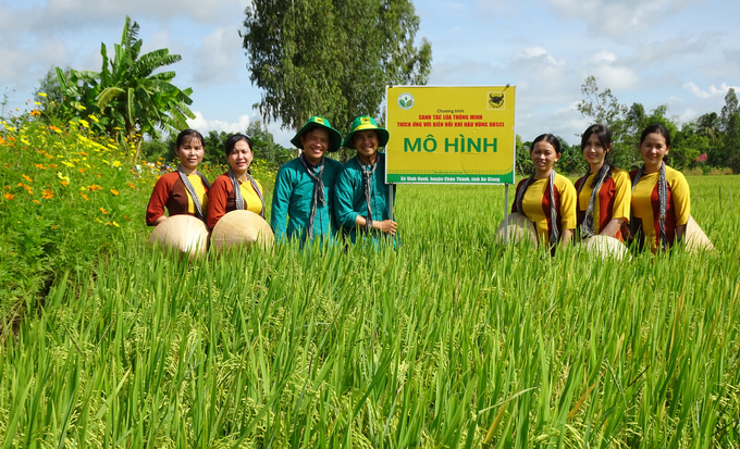 Mô hình 'Canh tác lúa thông minh thích ứng với biến đổi khí hậu' do Công ty CP Phân bón Bình Điền phối hợp với Trung tâm Khuyến nông Quốc gia triển khai thực hiện tại 13 tỉnh, thành phố vùng ĐBSCL.