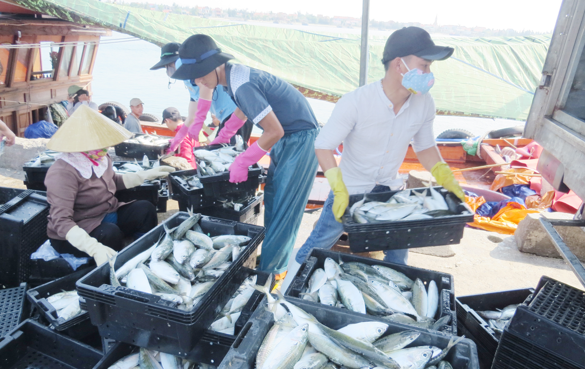 Fishing ports must become fully serviced places for fishermen. Photo: N.Tam.