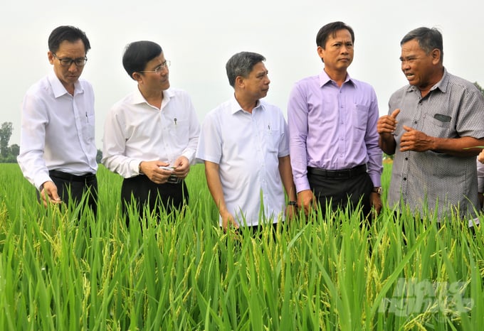 Mr. Dong Van Thanh (middle), Chairman of Hau Giang People's Committee, visited the fields and directed the development of agroproduction after the 2023 Lunar New Year. Photo: Trung Chanh.