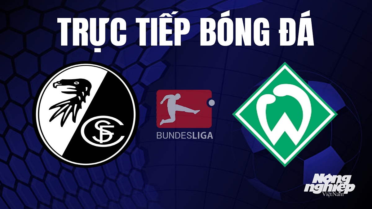 Trực tiếp bóng đá Bundesliga (VĐQG Đức) 2023/24 giữa Freiburg vs Werder Bremen hôm nay 26/8/2023