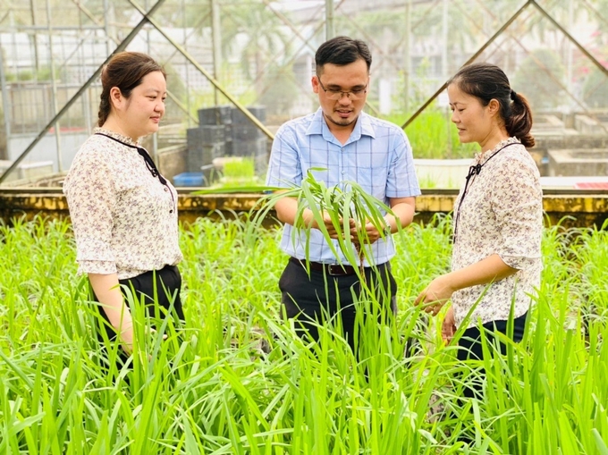 The Mekong Delta Rice Research Institute has built a strong team of scientists, focusing on genetic selection, biotechnology, and other fields related to breeding. Photo: Le Hoang Vu.