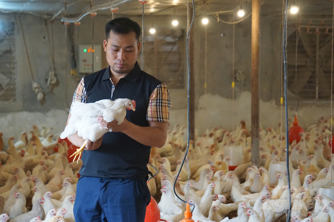 Trại gà đẻ trứng của gia đình anh Tú chăn nuôi theo hướng an toàn dịch bệnh. Ảnh: Quốc Toản.