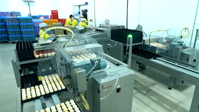 Bên trong nhà máy xử lý trứng của De Heus tại Tây Ninh. Ảnh: Trần Trung.