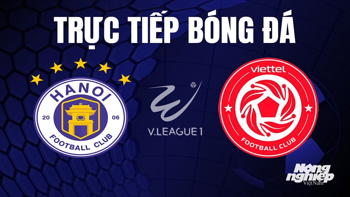 Trực tiếp bóng đá V-League 2023 giữa Hà Nội vs Viettel hôm nay 27/8/2023