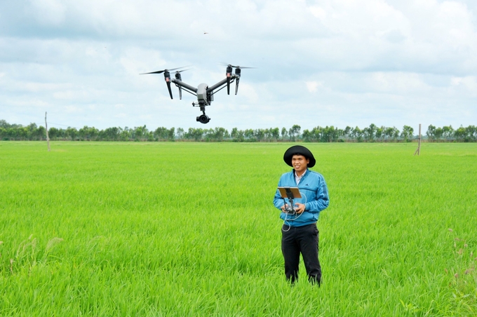 The World Bank has provided technical support to the Ministry of Agriculture and Rural Development in the process of building the Project of 1 million hectares of high quality rice associated with green growth in the Mekong Delta. Photo: LHV.