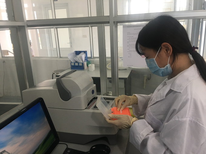 Công tác lấy mẫu xét nghiệm dịch bệnh trên thủy, hải sản. Ảnh: Nguyễn Thành.