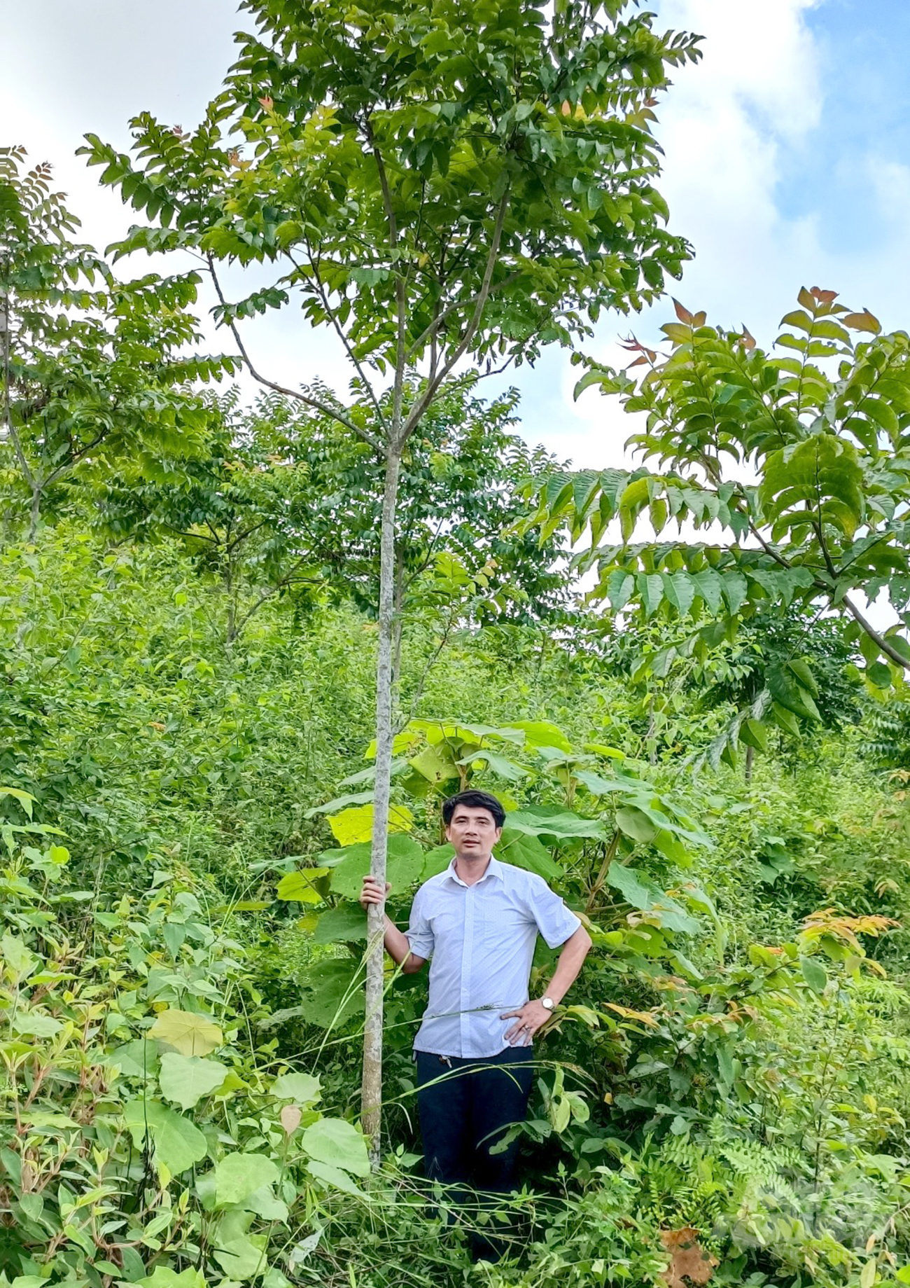 The Vietnamese Academy of Forest Sciences, in collaboration with the Pu Huong Nature Reserve, is implementing the aforementioned project in Nghe An province. Photo: Quoc Toan.