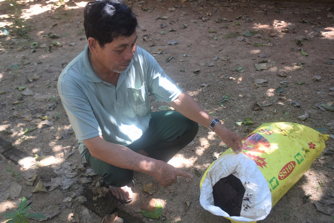 Người trồng bưởi hữu cơ ở huyện Hoài Ân (Bình Định) chuẩn bị phân hữu cơ bón cho bưởi Ảnh: V.Đ.T.