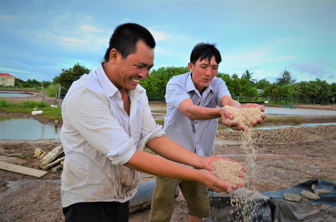 Mr. Nguyen Thanh Sang and Mr. Nguyen Thanh Mong in Vinh Thinh commune, Hoa Binh district, Bac Lieu province, are examining the grains of pink salt. Photo: Duong Dinh Tuong.