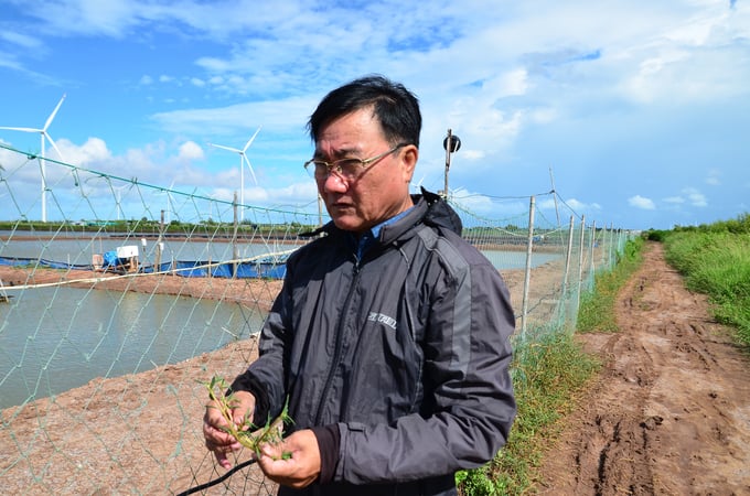 Mr. Co Tan Xuyen - Head of the Agriculture and Rural Development Department of Hoa Binh district is surveying salted vegetables and pink salt. Photo: Duong Dinh Tuong.