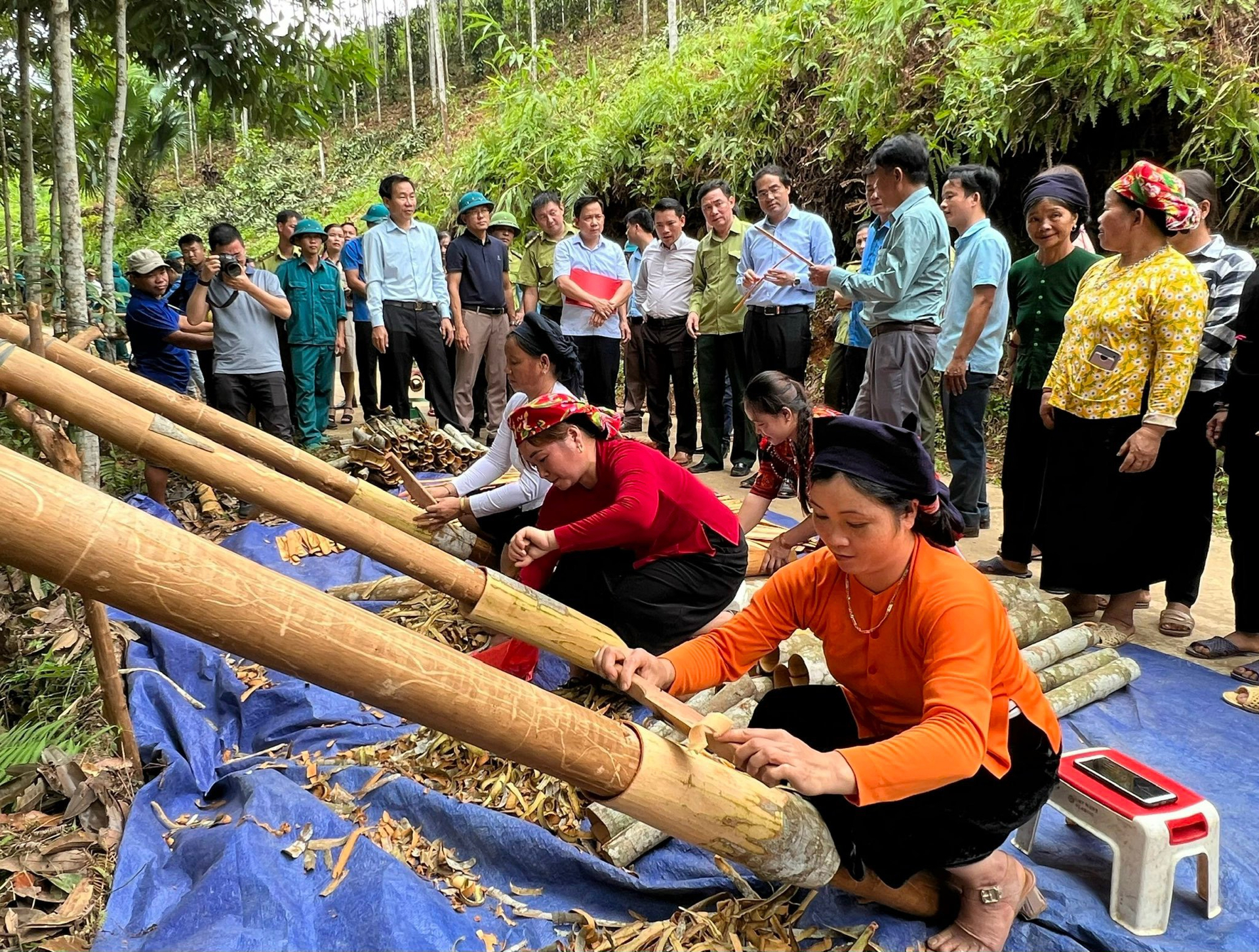 Cây quế ở Bảo Yên (Lào Cai) mang lại cuộc sống ấm no hơn cho đồng bào dân tộc thiểu số. Ảnh: Hải Đăng.