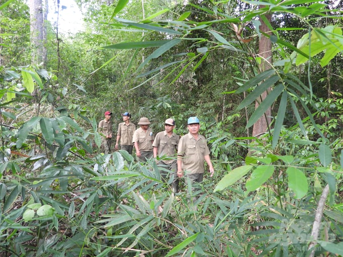 Officers from the Dau Tieng Protection Forest Management Board patrol the forest. Photo: Tran Trung.