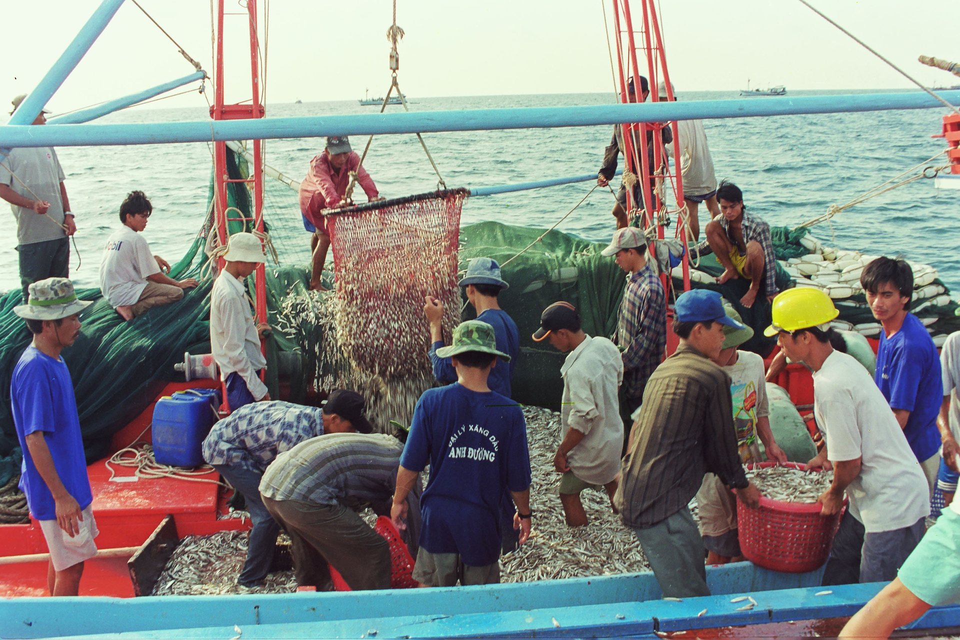 According to the Ministry of Agriculture and Rural Development, there have been significant changes in the situation of combating illegal, unreported, and unregulated fishing activities after more than 6 years under the 'yellow card' warning. Photo: Huy Hung.