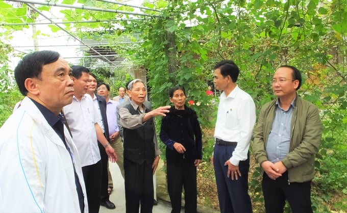 Sau kiện toàn, Văn phòng nông thôn mới ở Hà Tĩnh bộc lộ bất cập