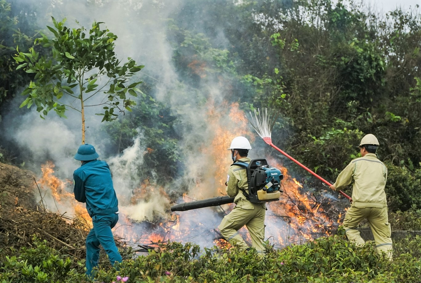 Các địa phương xác định cụ thể những vùng trọng điểm có nguy cơ cháy rừng cao để bố trí nguồn nhân lực, vật lực sẵn sàng ngăn chặn và xử lý kịp thời các vụ cháy rừng. Ảnh: MH.