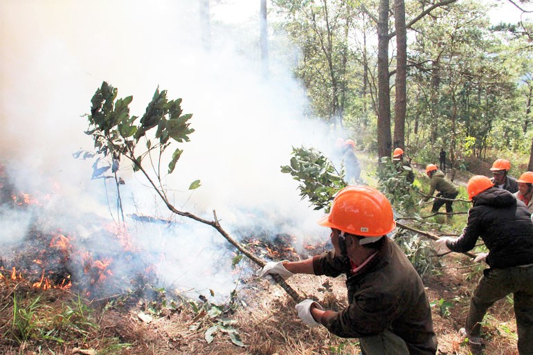 Trong những ngày nắng nóng, nghiêm cấm mọi hành vi sử dụng lửa trong và gần rừng, đốt xử lý thực bì trồng rừng, đốt nương làm rẫy. Ảnh: MH.