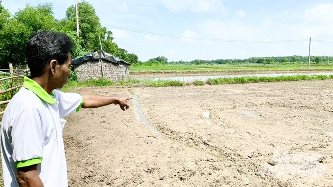 Do đợt mưa lớn kéo dài, ruộng lúa của một nông dân tại huyện Duyên Hải, tỉnh Trà Vinh đã bị ngập úng và hư hại hoàn toàn. Ảnh: Hồ Thảo.