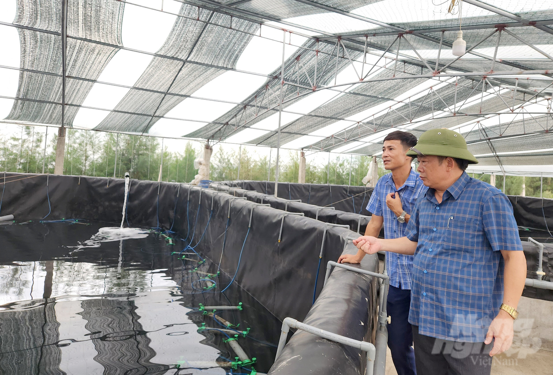 Ông Ngô Đình Tưu, Chủ tịch Hội Nông dân huyện Diễn Châu (ngoài cùng) kiểm tra mô hình nuôi tôm công nghệ cao trên cát. Ảnh: Việt Khánh.
