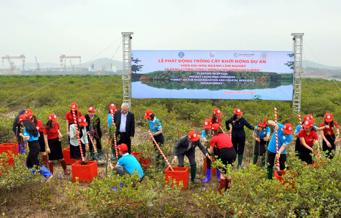 Các đại biểu tham gia trồng rừng ngập mặn tại xã Lê Lợi, huyện Hoành Bồ khi phát động Dự án FMCR vào tháng 12/2019 tại Quảng Ninh. Ảnh: Tùng Đinh.