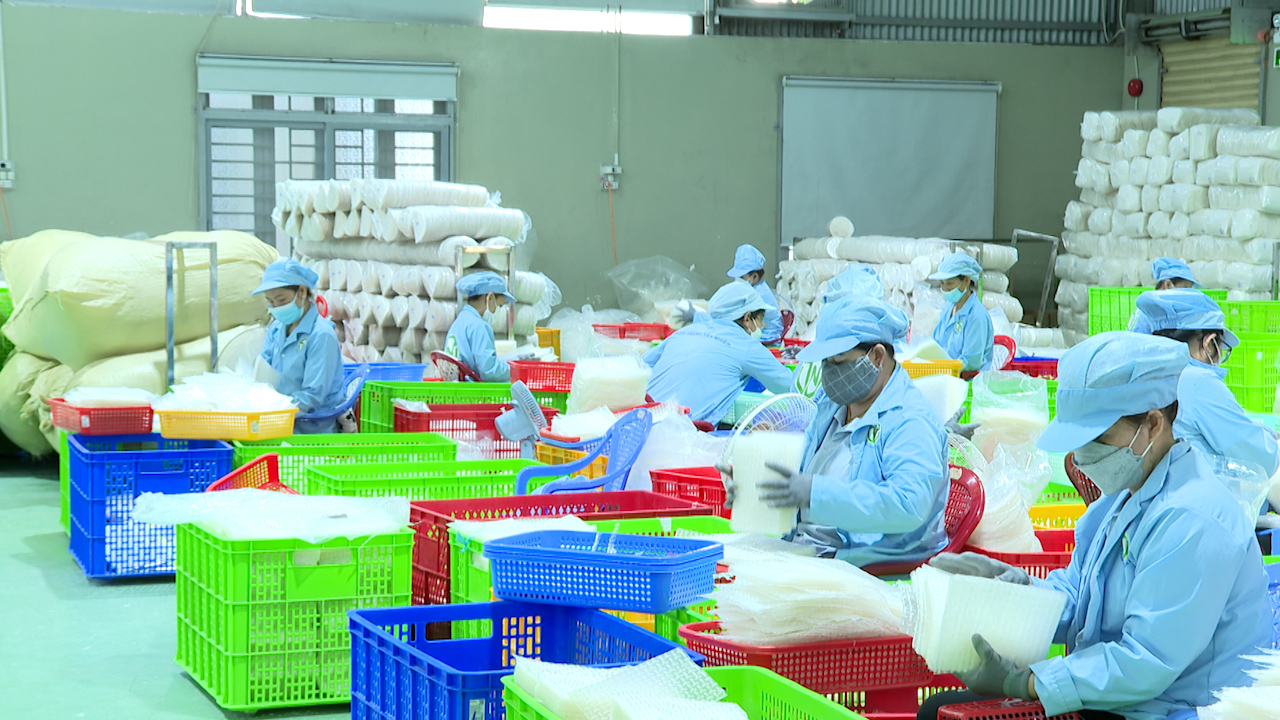 Bên trong khu sản xuất bánh tráng siêu mỏng OCOP 5 sao của Công ty Tân Nhiên. Ảnh: Trần Trung.
