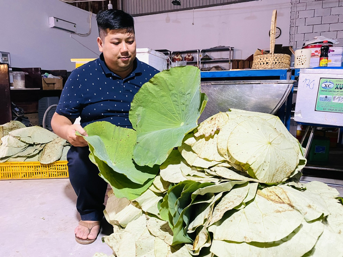 Dong Thap Provincial People's Committee has just approved two science and technology projects for deep processing and further enhancing the value of lotus plants. Photo: Le Hoang Vu. 