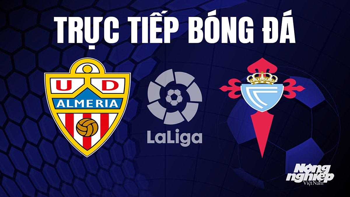 Trực tiếp bóng đá La Liga 2023/24 giữa Almeria vs Celta Vigo hôm nay 2/9/2023