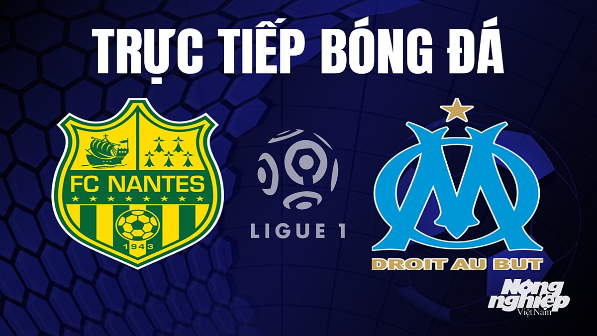 Trực tiếp bóng đá Ligue 1 (VĐQG Pháp) 2023/24 giữa Nantes vs Marseille hôm nay 2/9/2023