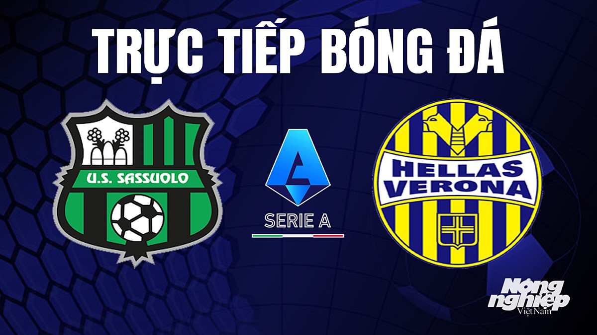 Trực tiếp bóng đá Serie A (VĐQG Italia) 2023/24 giữa Sassuolo vs Hellas Verona hôm nay 1/9/2023