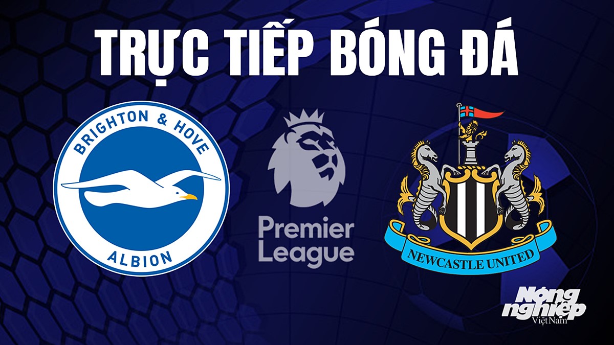 Trực Tiếp Bóng Đá Brighton Vs Newcastle Hôm Nay 2/9/2023