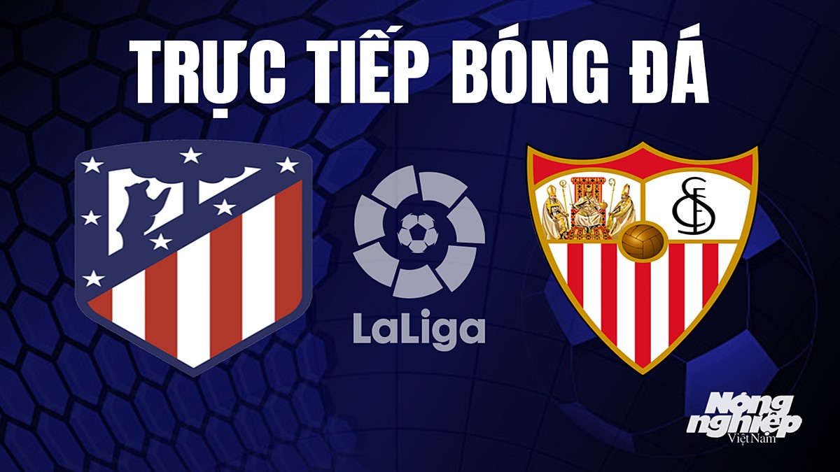 Trực tiếp bóng đá La Liga 2023/24 giữa Atletico Madrid vs Sevilla hôm nay 3/9/2023