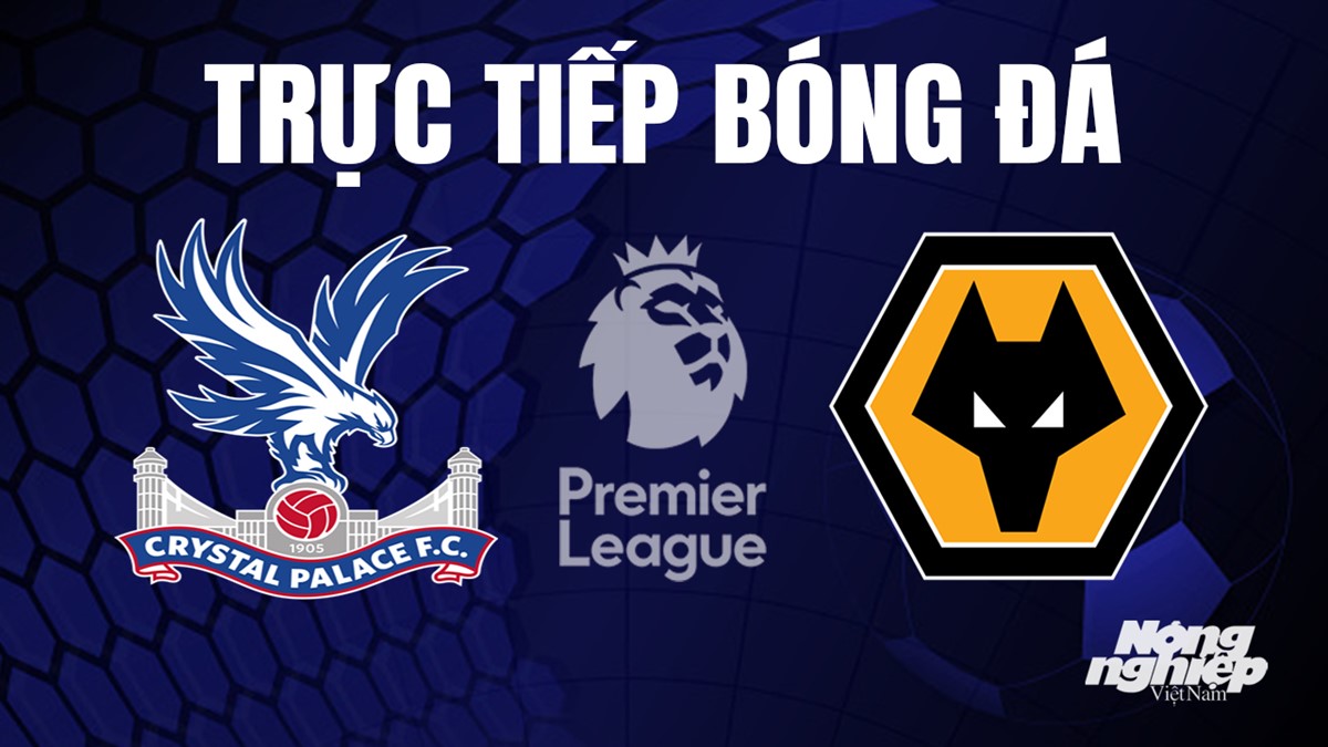 Trực tiếp bóng đá Ngoại hạng Anh giữa Crystal Palace vs Wolves hôm nay 3/9/2023