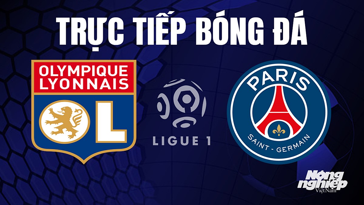 Trực tiếp bóng đá Ligue 1 (VĐQG Pháp) 2023/24 giữa Lyon vs PSG hôm nay 4/9/2023