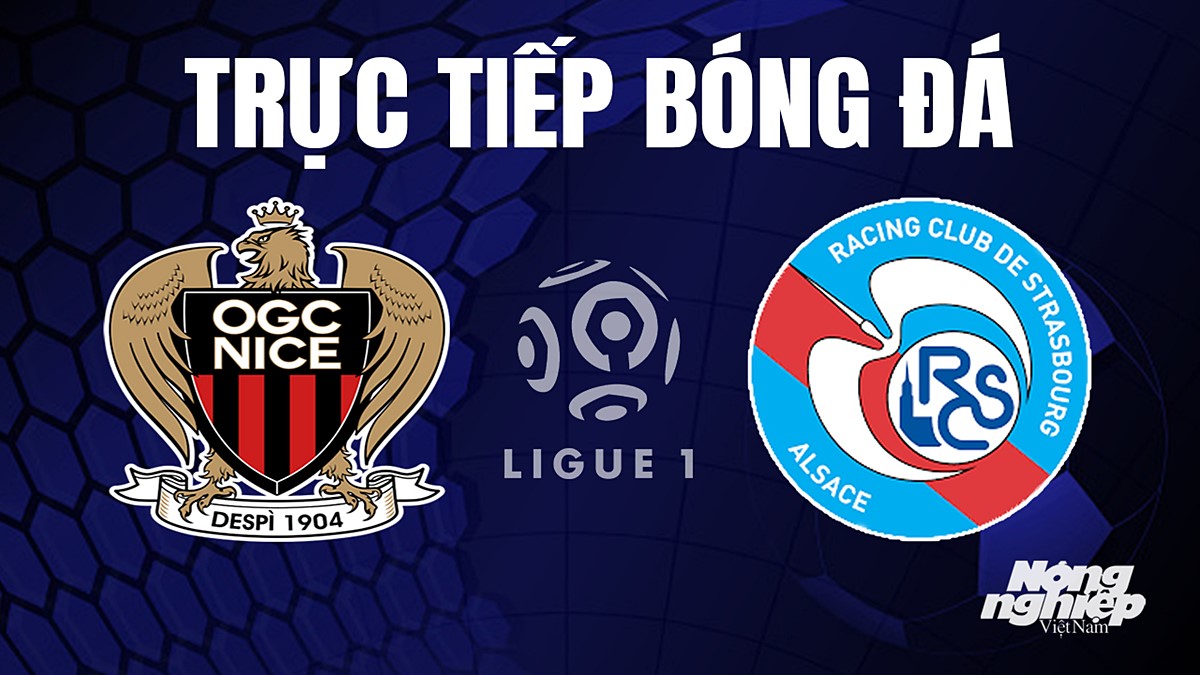 Trực tiếp bóng đá Ligue 1 (VĐQG Pháp) 2023/24 giữa Nice vs Strasbourg hôm nay 3/9/2023