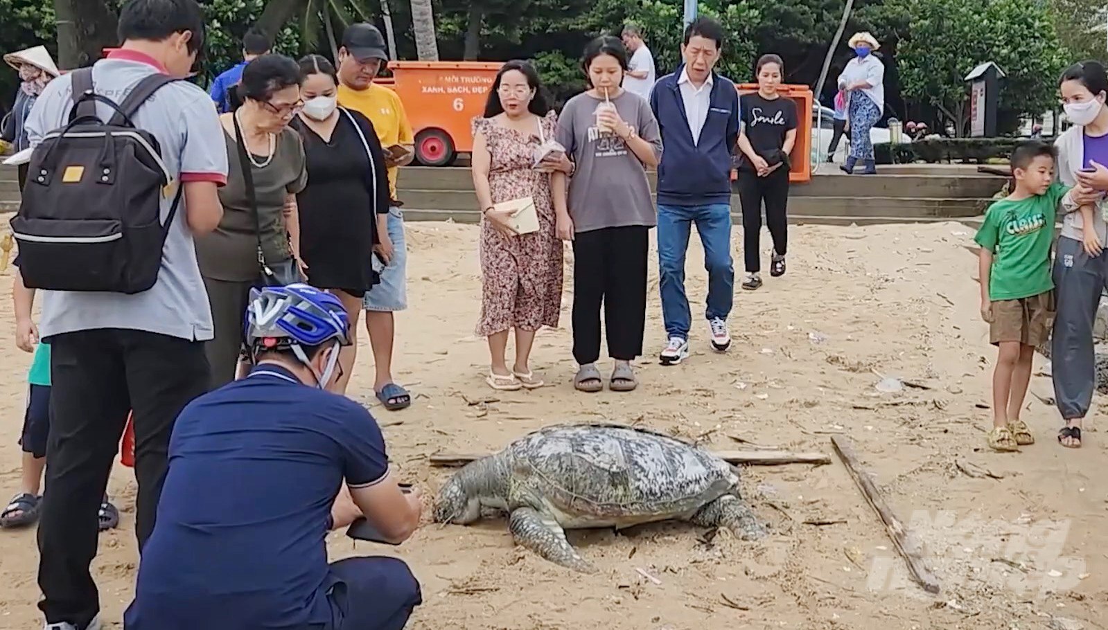 Nhiều người dân tỏ ra khá bất ngờ, thương tiếc cho con rùa biển bị chết trôi vào biển Bãi Trước. Ảnh: KL.