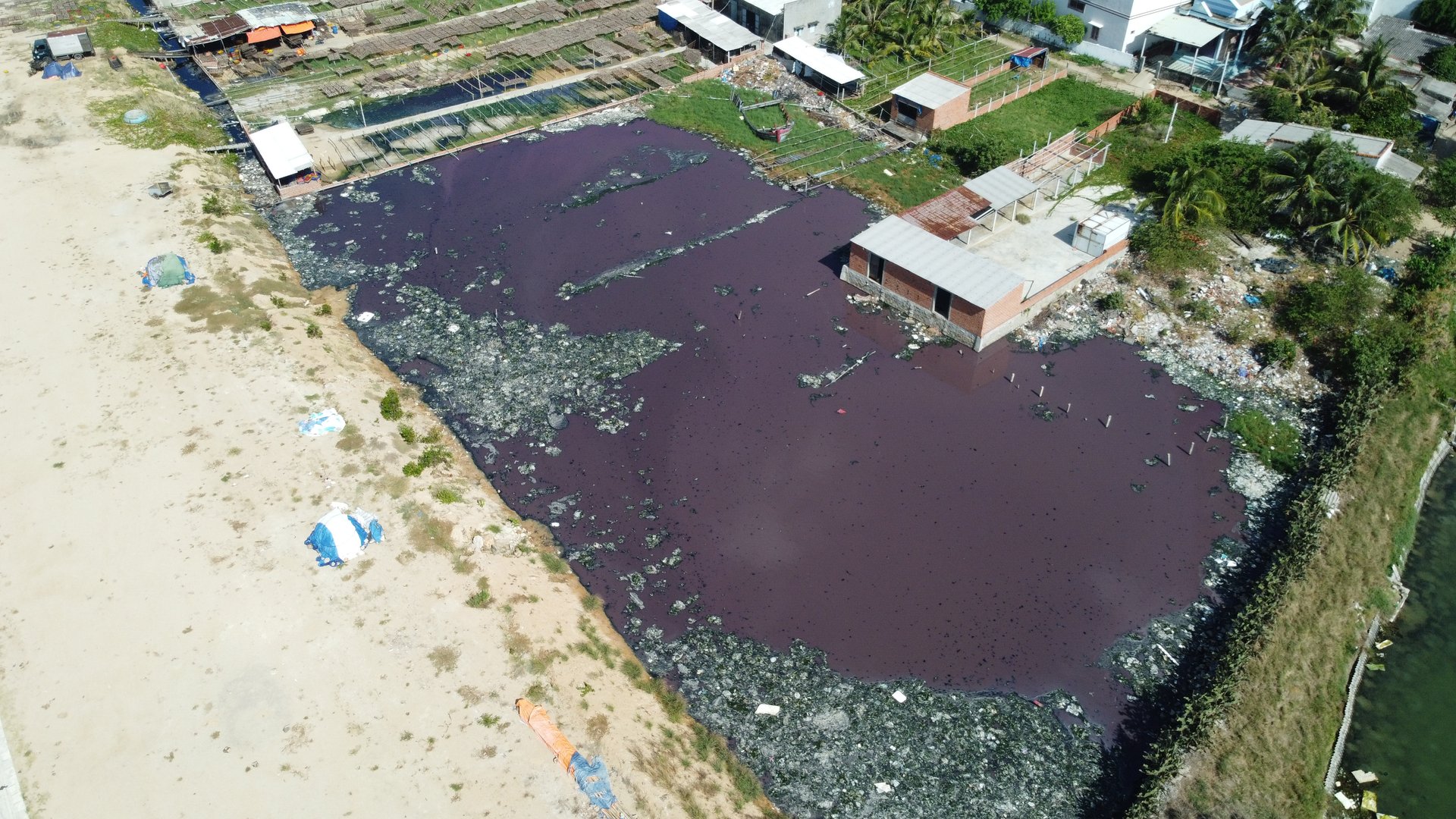 Nguồn nước tự nhiên ở 2 thôn An Quang Ðông và thôn An Quang Tây, UBND xã Cát Khánh (huyện Phù Cát, Bình Định) bị ô nhiễm nghiêm trọng do nước thải của các cơ sở chế biến mực xà. Ảnh: V.Đ.T.