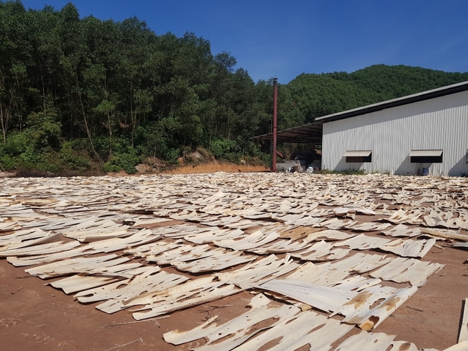 Theo Viforest, các doanh nghiệp ngành gỗ đang trong tình cảnh 'càng làm càng lỗ'.