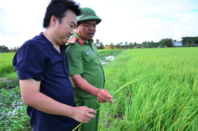Anh Nguyễn Đăng Khoa - Công ty Cổ phần Hóa nông AHA (trái) đang kiểm tra lúa sau khi phun khoáng. Ảnh: Dương Đình Tường.