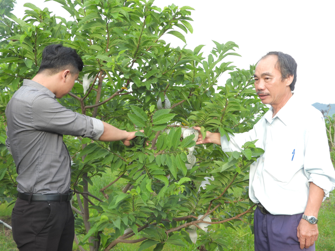 Mãng cầu Bà Đen một trong những sản phẩm OCOP đặt trưng Tây Ninh. Ảnh: Trần Trung.